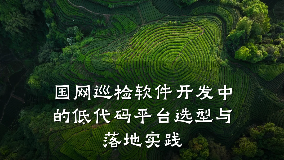 国网巡检软件开发中的低代码平台选型与落地实践