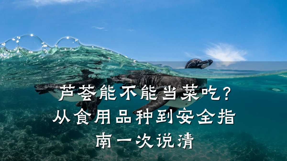 芦荟能不能当菜吃?从食用品种到安全指南一次说清