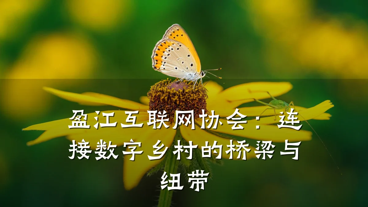 盈江互联网协会:连接数字乡村的桥梁与纽带