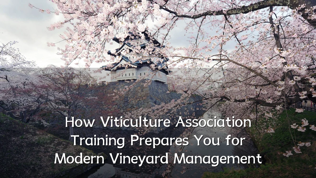 How Viticulture Association Training Prepares You for Modern Vineyard Management