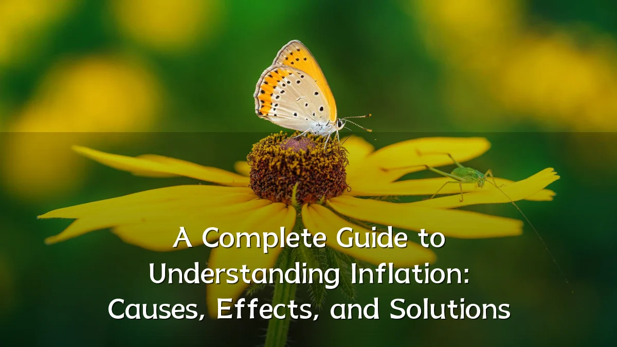 A Complete Guide to Understanding Inflation: Causes, Effects, and Solutions