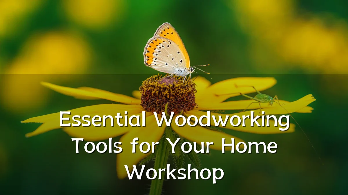 Essential Woodworking Tools for Your Home Workshop
