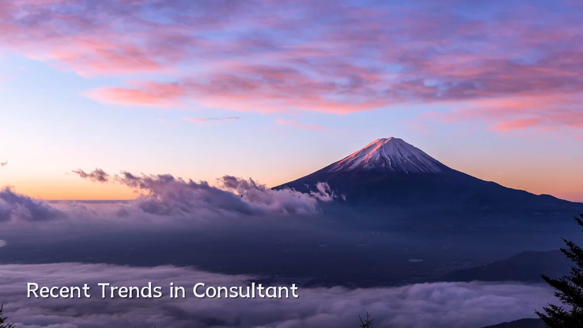 Recent Trends in Consultant