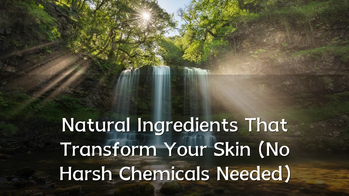Natural Ingredients That Transform Your Skin (No Harsh Chemicals Needed)