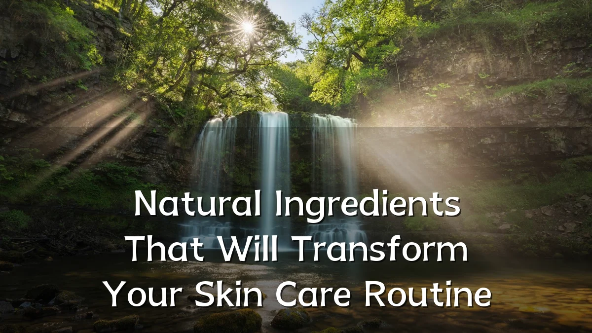 Natural Ingredients That Will Transform Your Skin Care Routine
