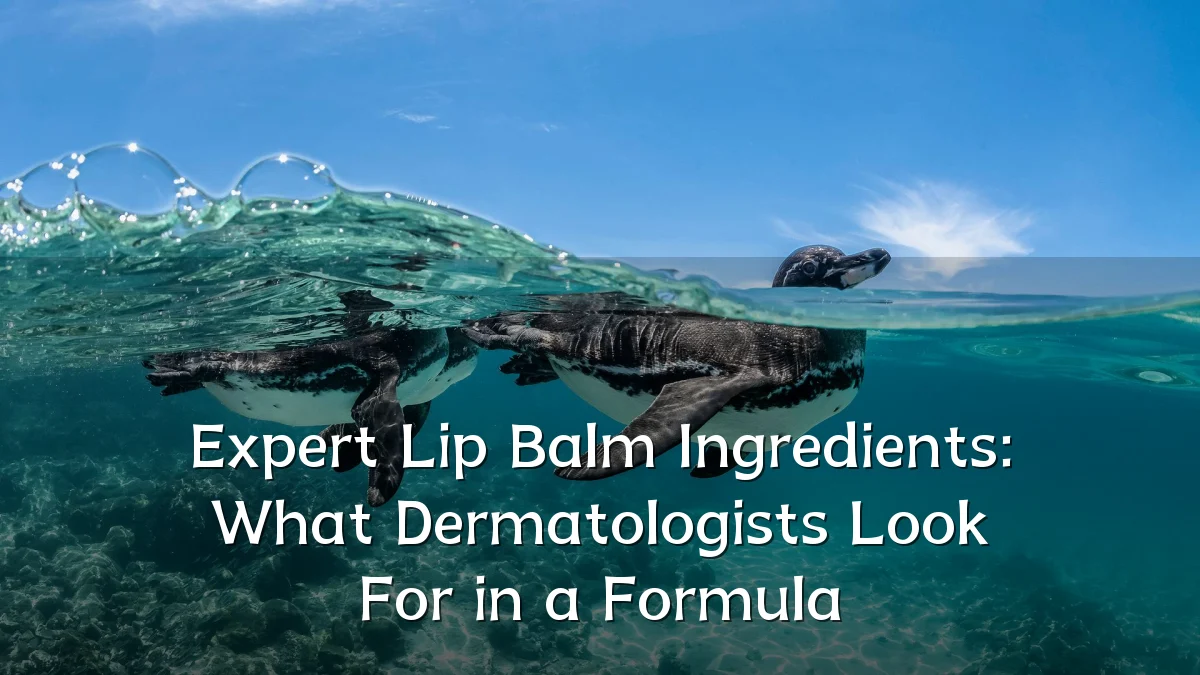 Expert Lip Balm Ingredients: What Dermatologists Look For in a Formula