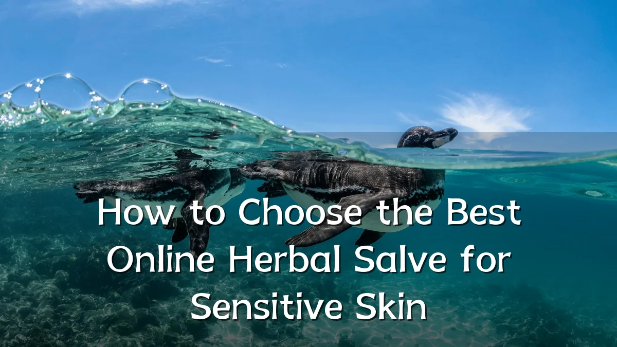 How to Choose the Best Online Herbal Salve for Sensitive Skin