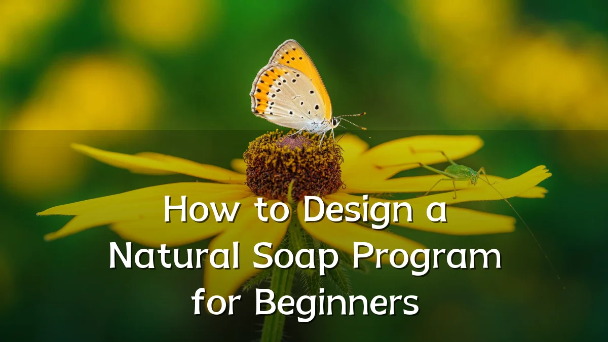 How to Design a Natural Soap Program for Beginners