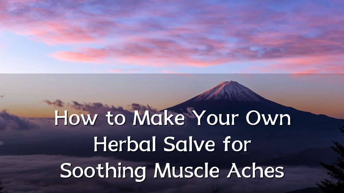 How to Make Your Own Herbal Salve for Soothing Muscle Aches