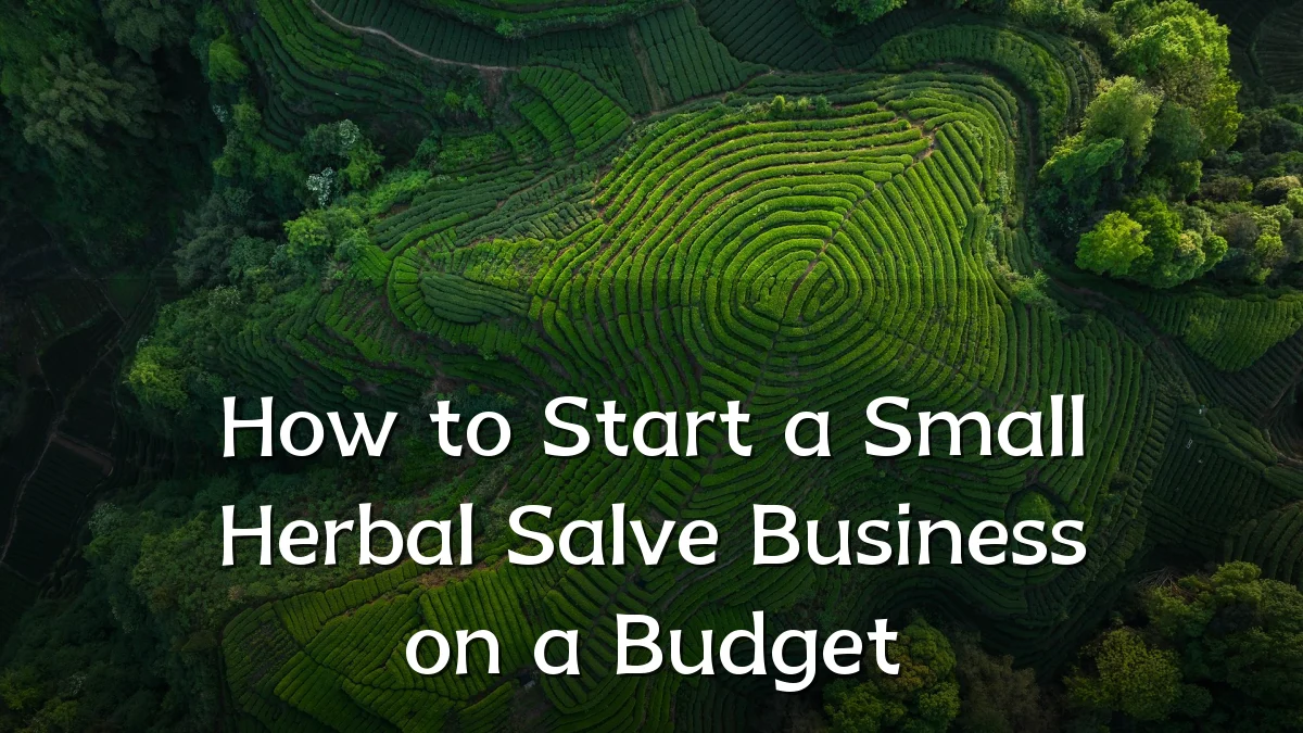How to Start a Small Herbal Salve Business on a Budget