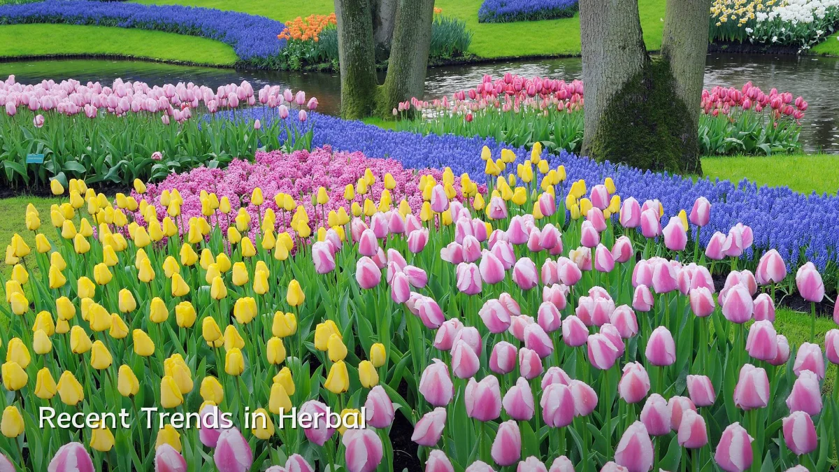 Recent Trends in Herbal