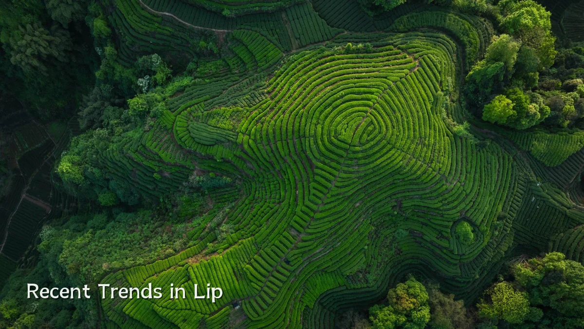 Recent Trends in Lip