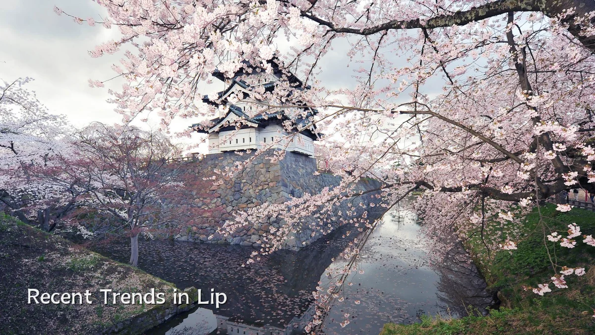 Recent Trends in Lip