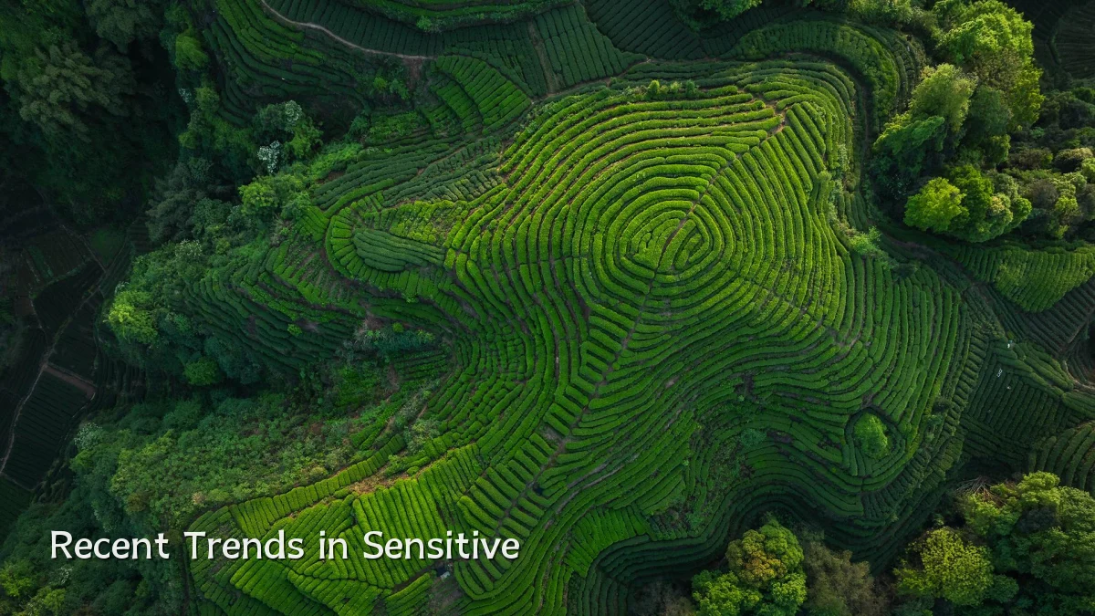 Recent Trends in Sensitive