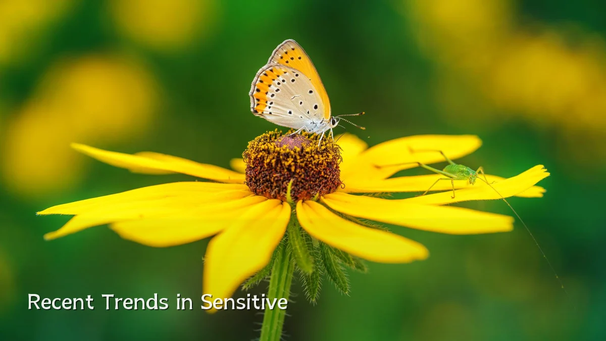 Recent Trends in Sensitive