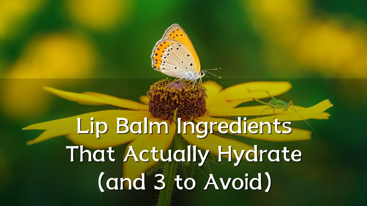 Lip Balm Ingredients That Actually Hydrate (and 3 to Avoid)