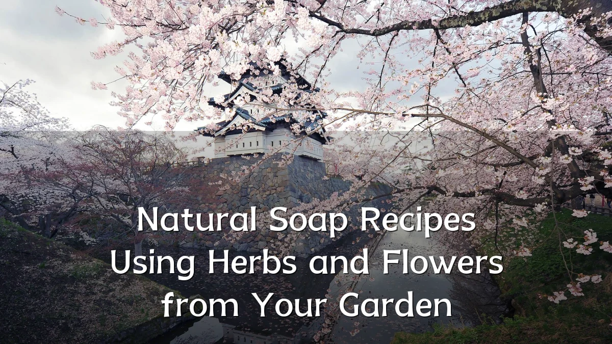 Natural Soap Recipes Using Herbs and Flowers from Your Garden