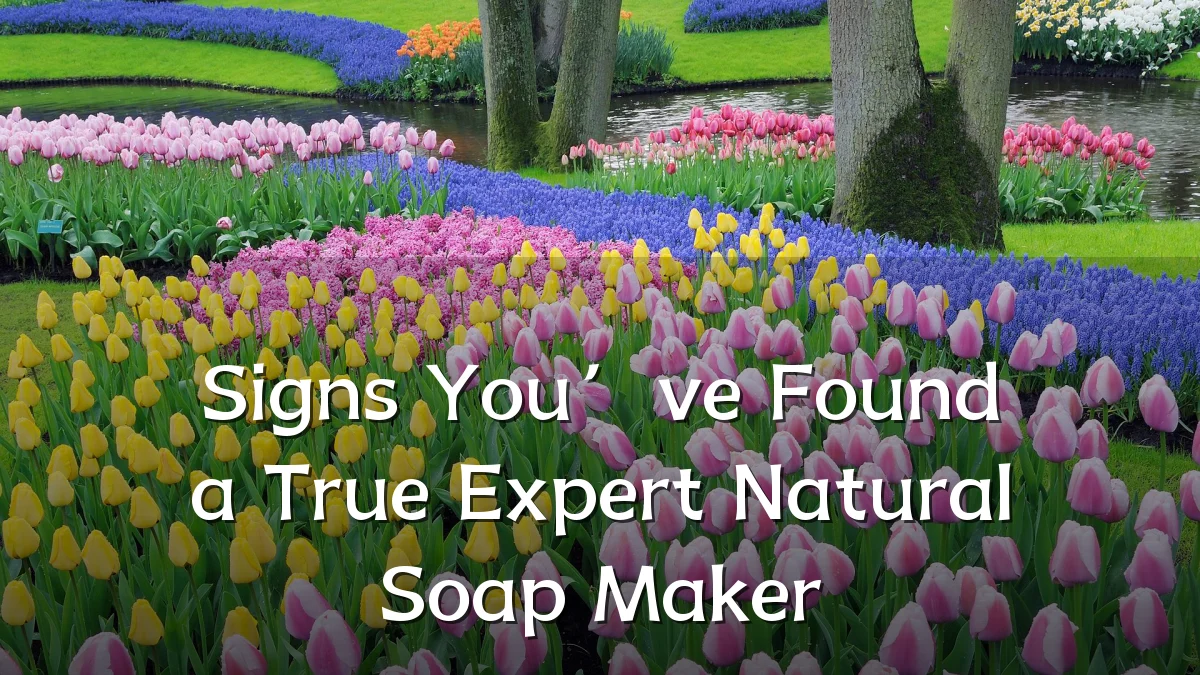 Signs You’ve Found a True Expert Natural Soap Maker