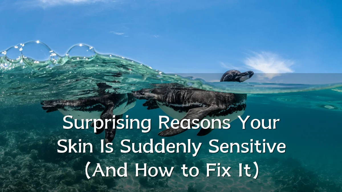Surprising Reasons Your Skin Is Suddenly Sensitive (And How to Fix It)