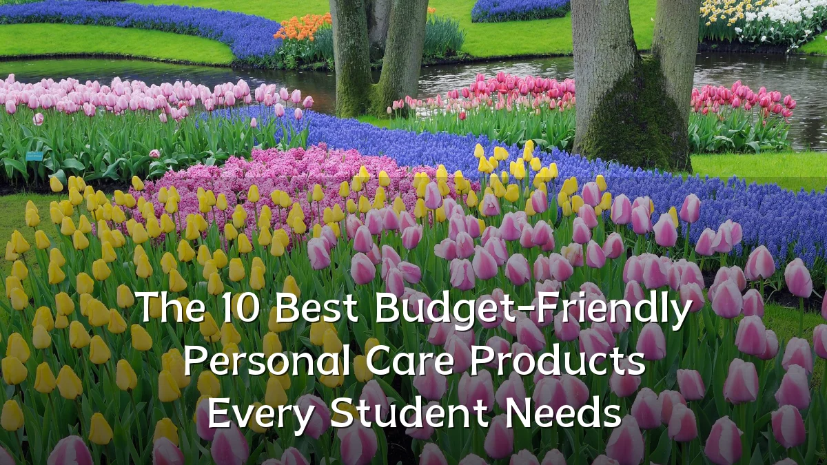 The 10 Best Budget-Friendly Personal Care Products Every Student Needs