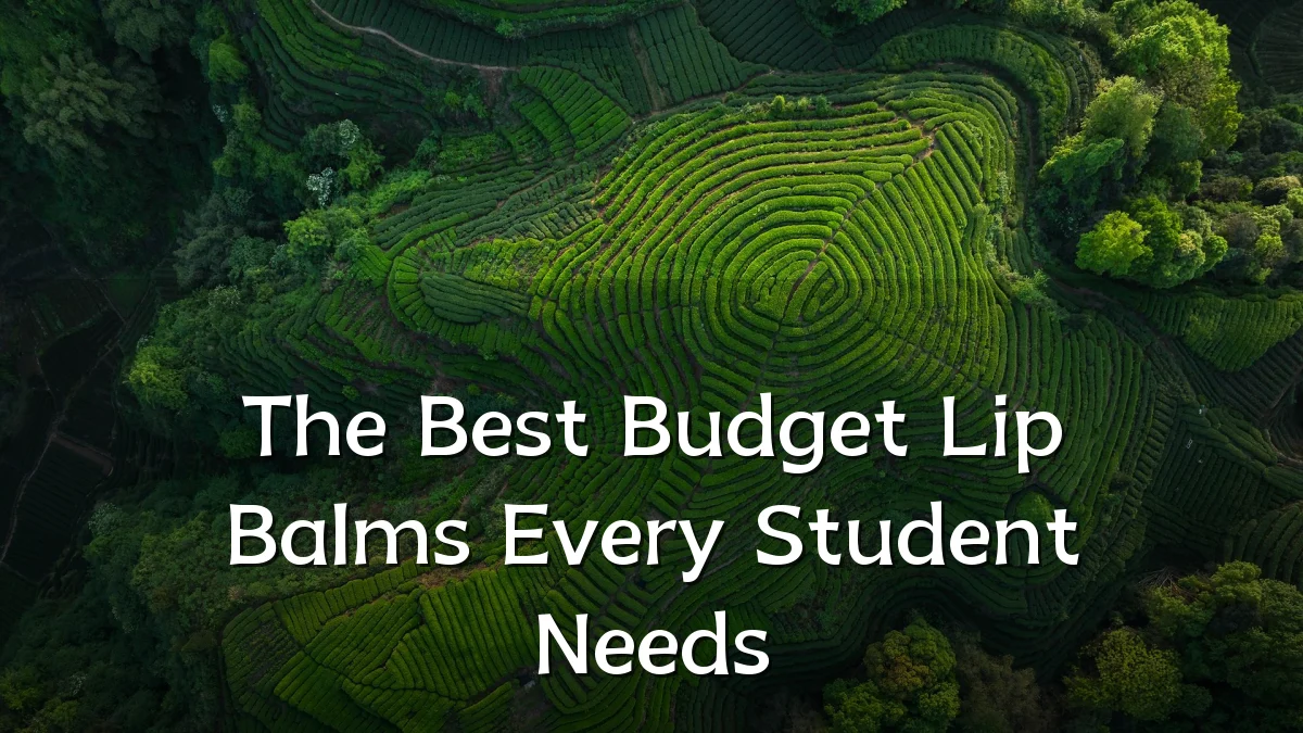 The Best Budget Lip Balms Every Student Needs