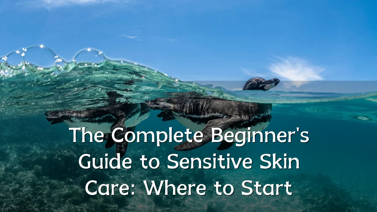 The Complete Beginner's Guide to Sensitive Skin Care: Where to Start