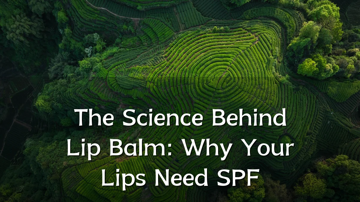The Science Behind Lip Balm: Why Your Lips Need SPF