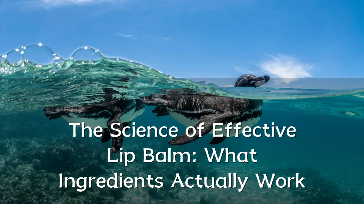 The Science of Effective Lip Balm: What Ingredients Actually Work