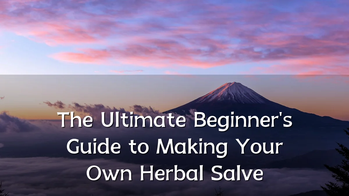 The Ultimate Beginner's Guide to Making Your Own Herbal Salve
