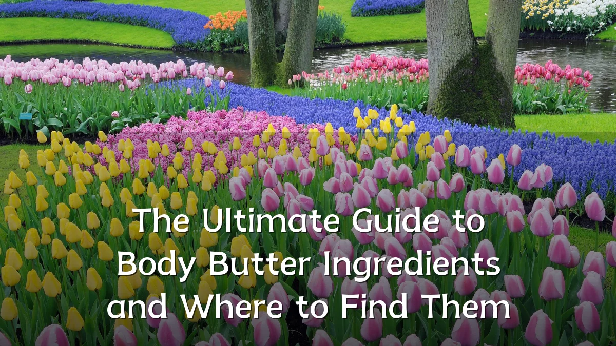 The Ultimate Guide to Body Butter Ingredients and Where to Find Them