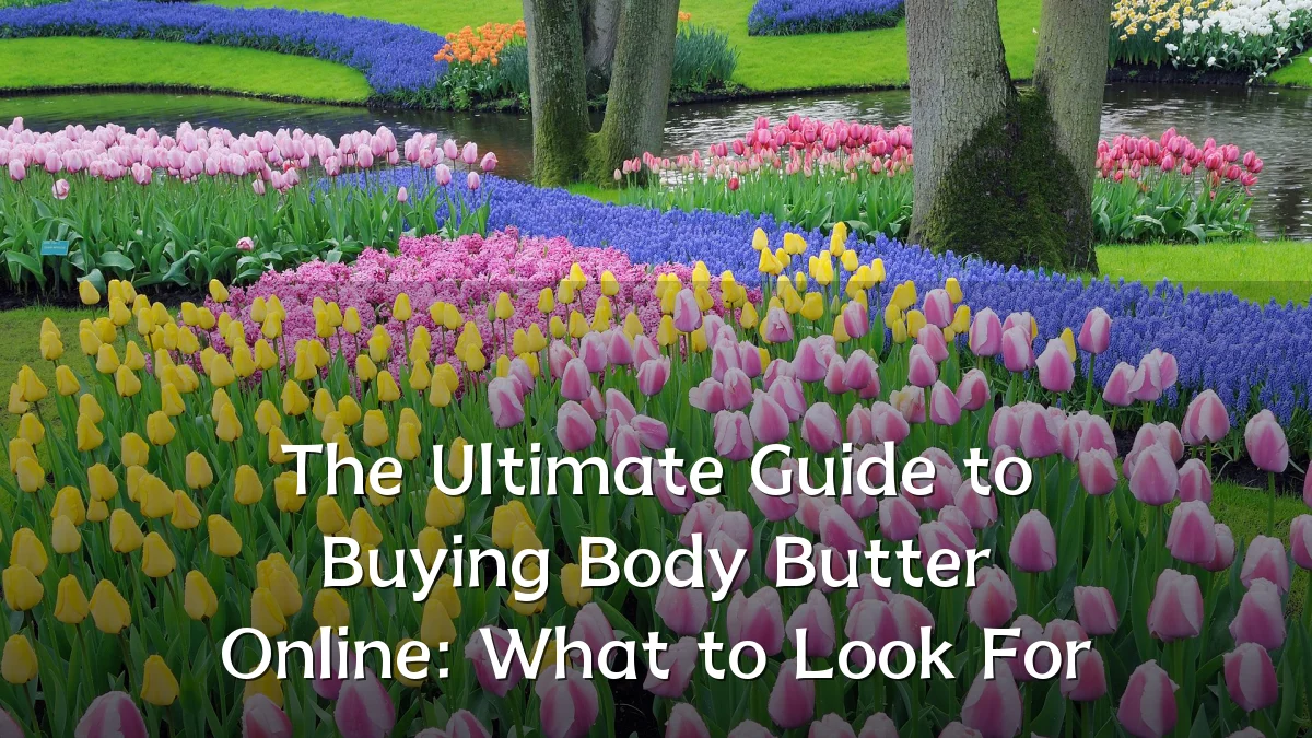 The Ultimate Guide to Buying Body Butter Online: What to Look For
