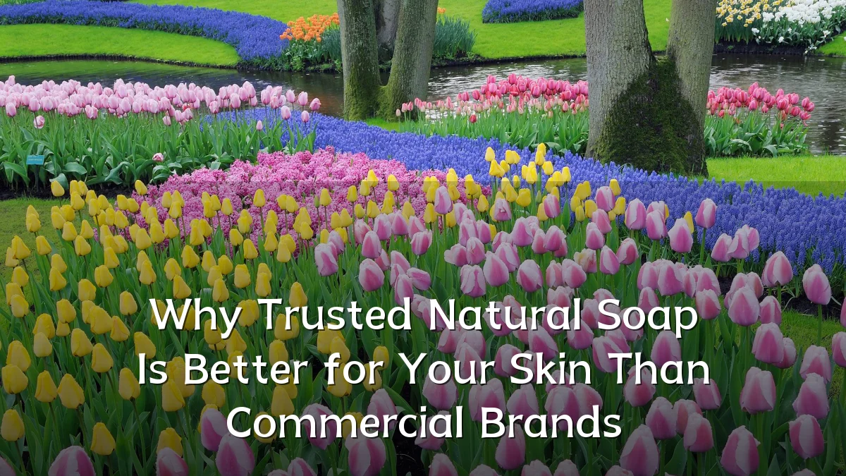 Why Trusted Natural Soap Is Better for Your Skin Than Commercial Brands