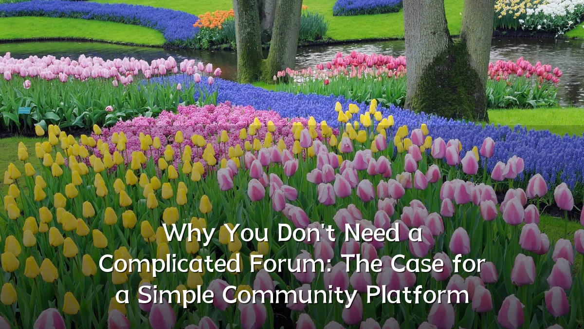 Why You Don't Need a Complicated Forum: The Case for a Simple Community Platform