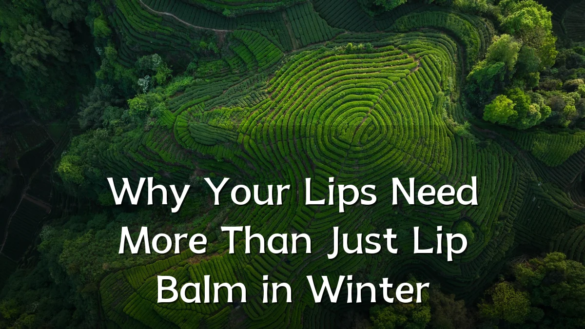 Why Your Lips Need More Than Just Lip Balm in Winter