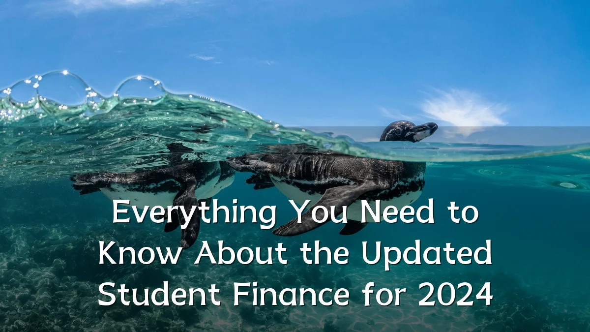 Everything You Need to Know About the Updated Student Finance for 2024