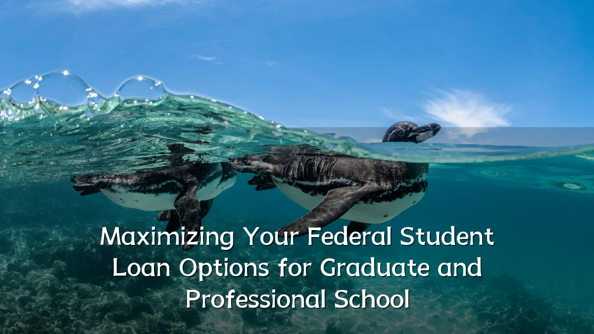 Maximizing Your Federal Student Loan Options for Graduate and Professional School