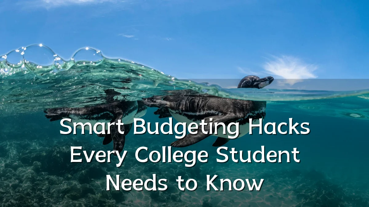 Smart Budgeting Hacks Every College Student Needs to Know