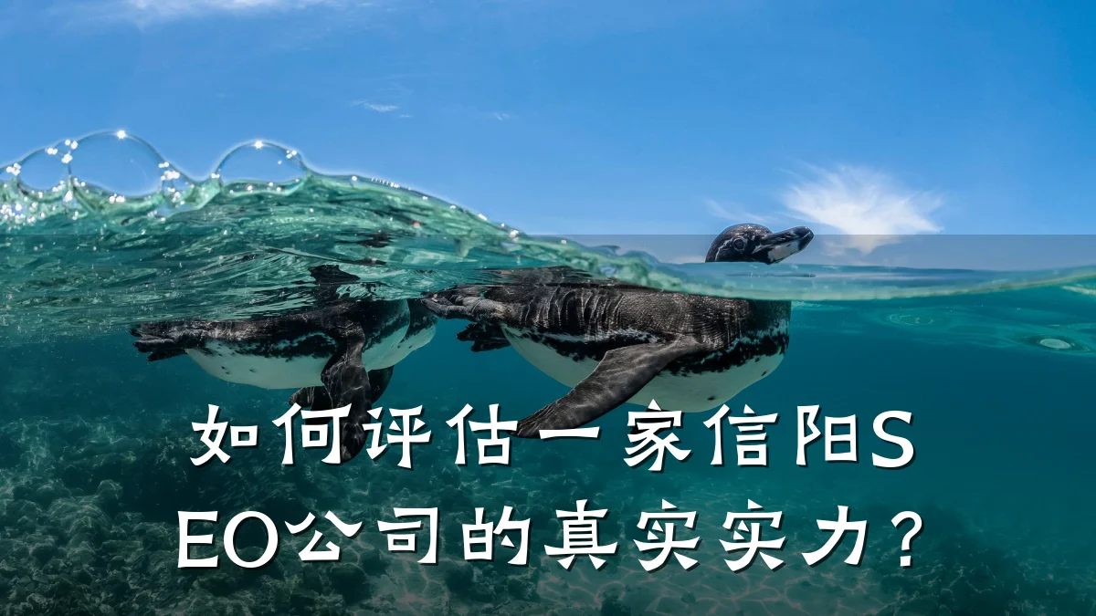 如何评估一家信阳SEO公司的真实实力？