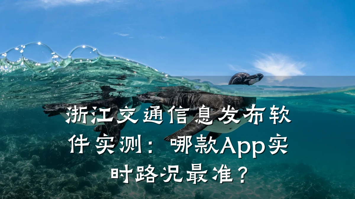 浙江交通信息发布软件实测：哪款App实时路况最准？